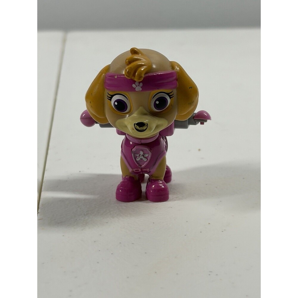 Paw Patrol All Star Pups Skye Rare